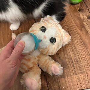Furreal plush Orange Tabby Kitten with Blue Feeding Bottle - meows, interactive